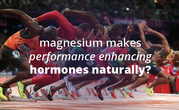 Magnesium testosterone connection