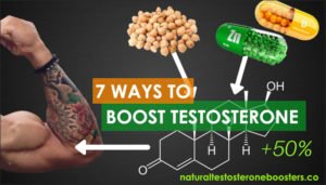 Natural Testosterone Boosters To Increase T-levels