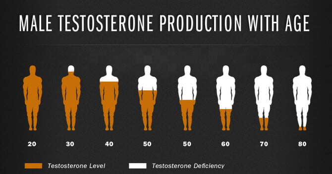 Mechanism of testosterone boosters